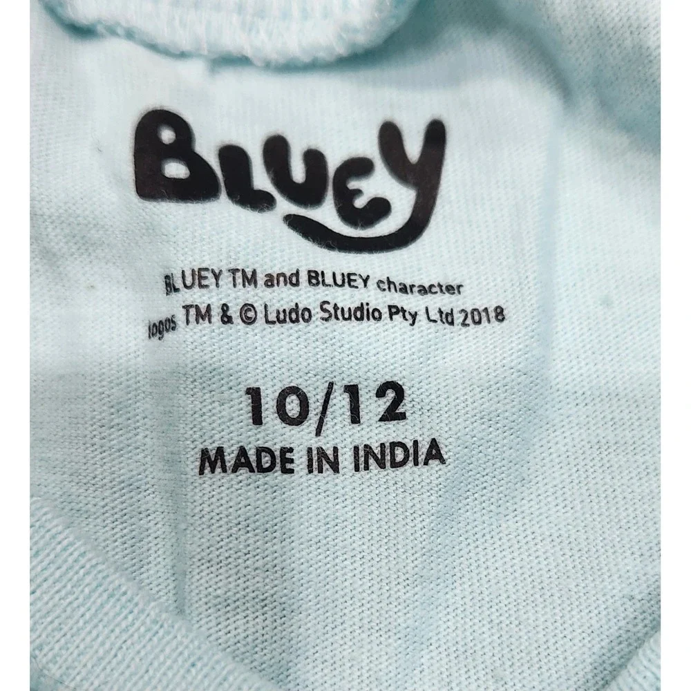 Bluey bingo birthday